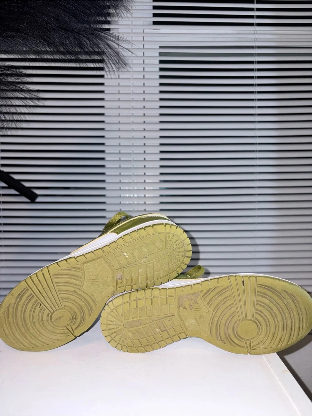 Kids Nike Dunk Green and White Low-Top Sneakers